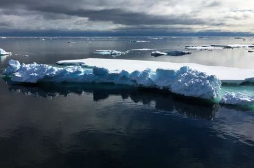 Buzlaqlar əriyir, nəfəsimiz kəsilir - İqlim dəyişikliyinin fəsadları