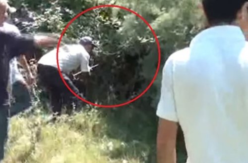 Неизвестное существо терроризирует жителей села Уджарского района - ВИДЕО