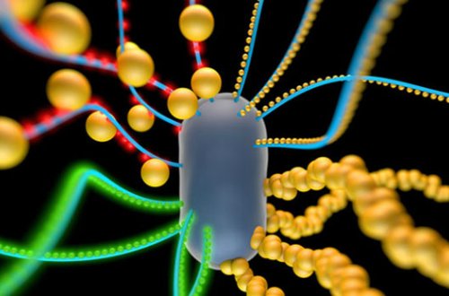 Gələcəkdən gələn dərman tapıldı – Bu məlhəm daxildəki sağalmaz yaraları sağaldır
