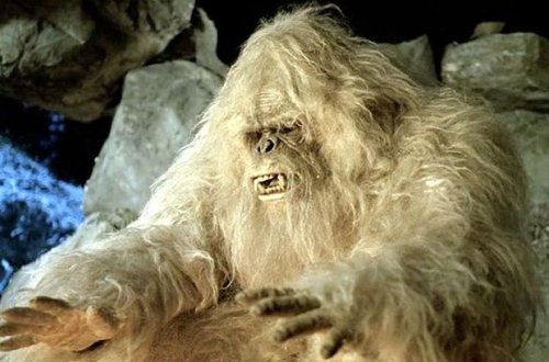 Полиция Уджара пытается поймать 