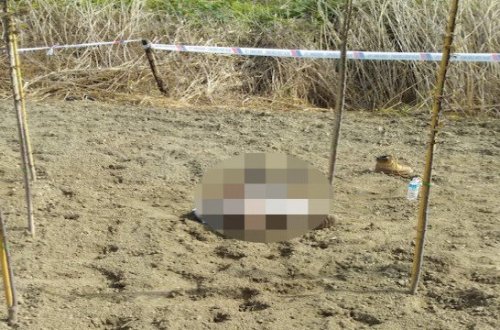 Bakıdan Nabrana getdi - daşla öldürüldü