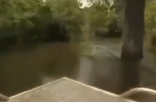 10 yaşlı uşaq ailəsinin gözü qabağında parçalandı - DƏHŞƏT VİDEO