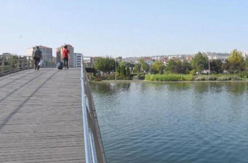 Anadan İNANILMAZ HƏRƏKƏT: 