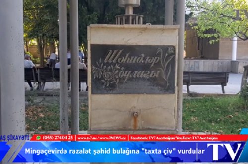 Mingəçevirdə rəzalət: ŞƏHİD BULAĞINDA 