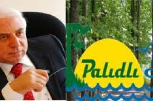 Возле принадлежащего депутату центра отдыха в Лянкяране царит антисанитария - ВИДЕО