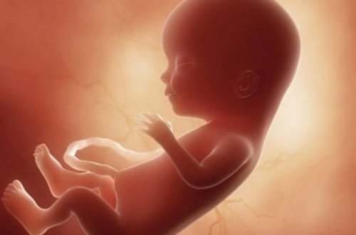 Японские ученые помогут парам настраивать пол детей