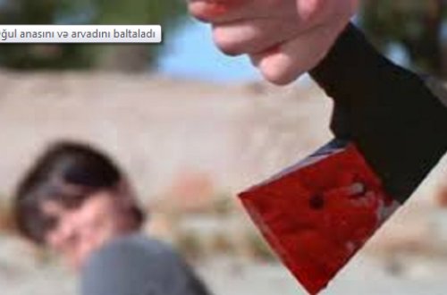 Oğul anasını və arvadını baltaladı — UCARDA AİLƏ FACİƏSİ