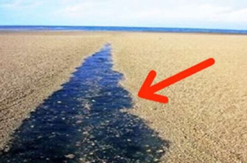 24 saatda ÖLÜM - Dənizə gedənlər MÜTLƏQ OXUSUN / VİDEO