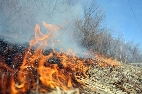 Пожар в Гирканском национальном парке - ФОТО
