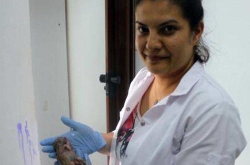 ŞOK: 6 ayaqlı doğuldu - FOTO