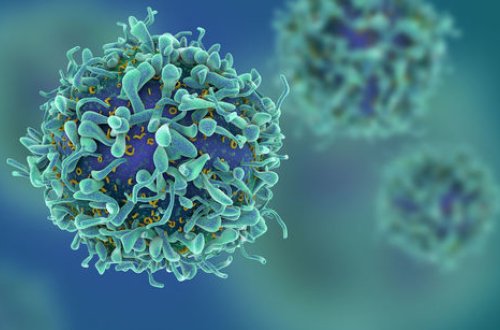 Найден способ борьбы с раком