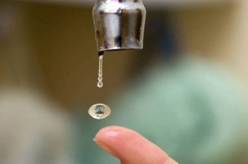 “Dünyada insanlar istidən əvvəl susuzluqdan qırılacaq”