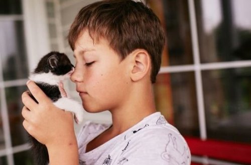 В Баку 8-летний мальчик сгорел из-за котенка