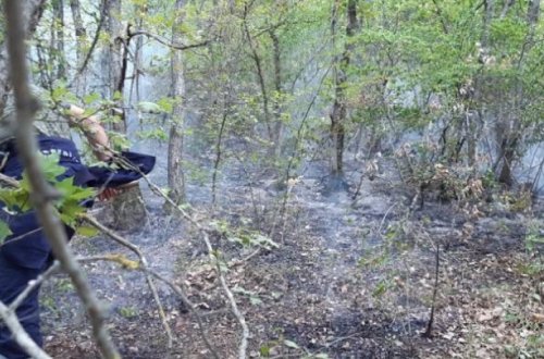 МЧС предотвратило распространение огня в Огузе, Габале, Агсу, Исмаиллы - ВИДЕО