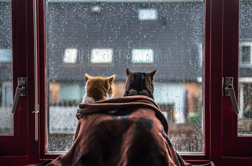 Прогноз погоды на завтра