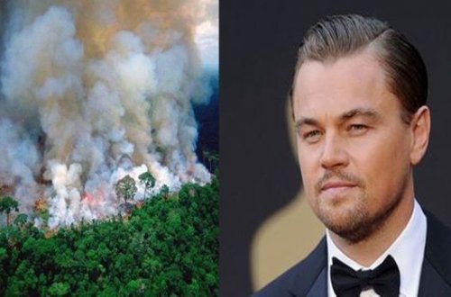 Di Kaprio Amazon meşələrinin qorunmasına beş milyon dollar ayırdı