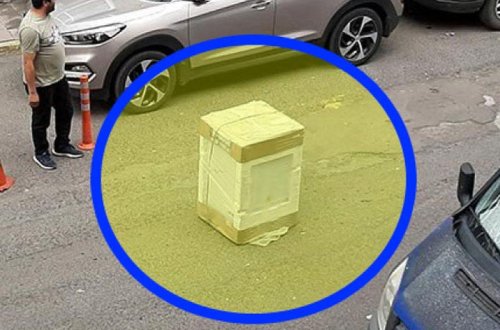 Toy karvanının qarşısını kəsib şirinlik almağın yeni üsulu - VİDEO