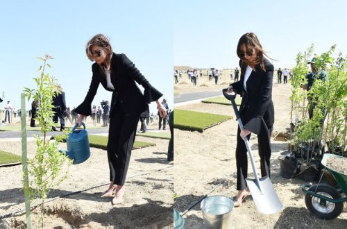 The Washington Times: Мехрибан Алиева показывает, как можно побороть климатические изменения