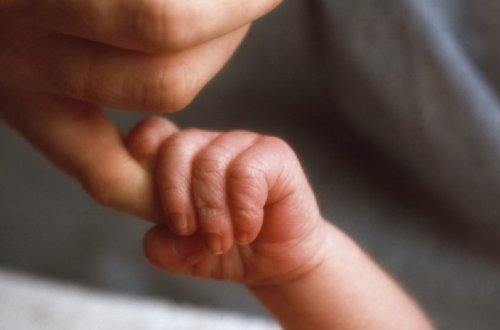 Ребенок родился после смерти мозга матери