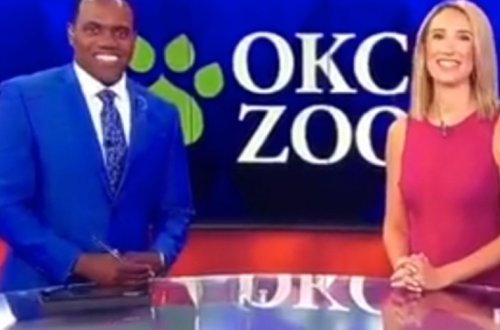 Телеведущая назвала темнокожего коллегу похожим на животное и разъярила зрителей