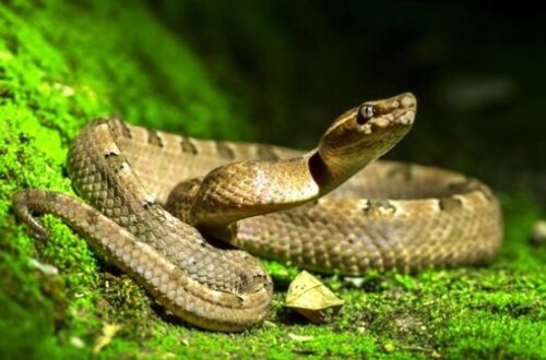 Gənc oğlanı ilan sancdı - FOTO