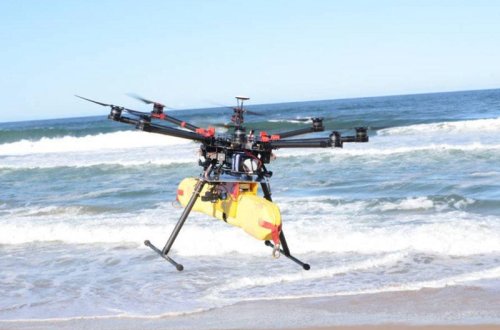 Çimərliklərdə timsahları dronla izləyəcəklər