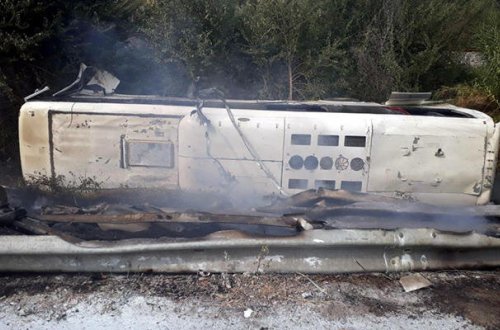 İti vurmaq istəmədi, avtobus aşdı - 47 yaralı