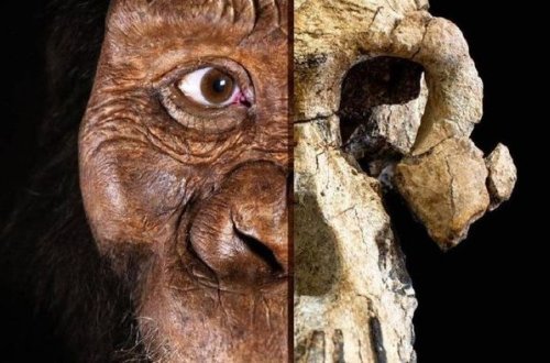Ученые воссоздали лицо первого человека