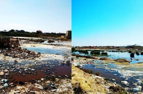 RƏZALƏT! Şəhid ailələrinə ev tikmək üçün bataqlıqdan torpaq verilib (FOTOLAR)
