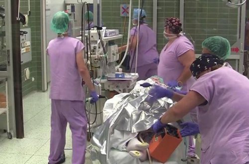 3 ay öncə ölmüş qadın sağlam uşaq dünyaya gətirdi – Vİdeo