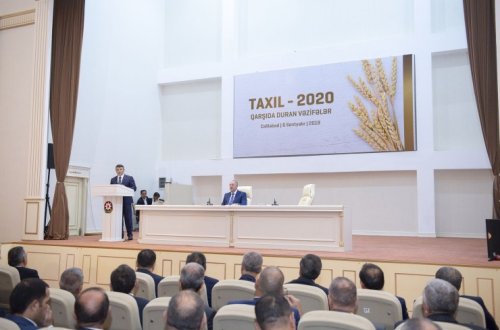 Cəlilabadda “Taxıl-2020: qarşıda duran vəzifələr” mövzusunda respublika müşavirəsi keçirilib