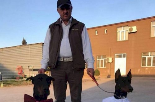 İtinə toy edən iş adamına böyük şok