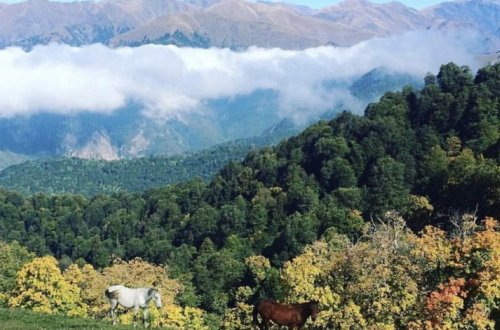 В Шеки выпал первый снег - ФОТО