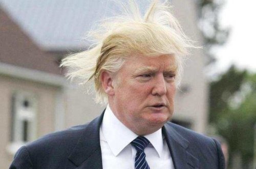 Трамп ответил критикам своих волос