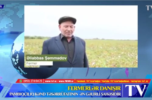 FERMERLƏR DANIŞIR: “Pambıqçılıq kənd təsərrüfatının ən əməktutumlu və ən gəlirli sahəsidir” - VİDEO