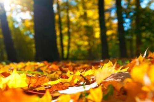 Синоптики обещают 28 градусов тепла