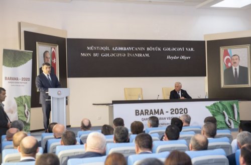 Zərdab rayonunda “Barama-2020: qarşıda duran vəzifələr” mövzusunda respublika müşavirəsi keçirilib
