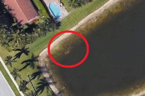 “Google Earth”lə 22 il əvvəl itkin düşən insanın skeleti tapıldı - FOTO