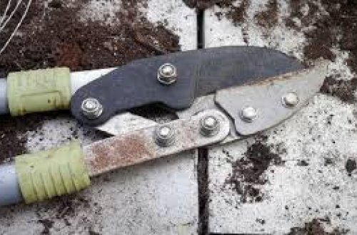 Arvad ərinin cinsiyyət orqanını bağban qayçısı ilə 