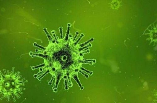 Обнаружена неизвестная смертельная болезнь