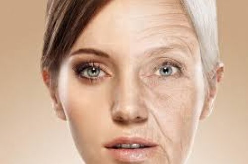 Alimlər qocalığın qarşısını almaq üsulunu tapdılar - Tədqiqatın nəticələri uğurlu olub