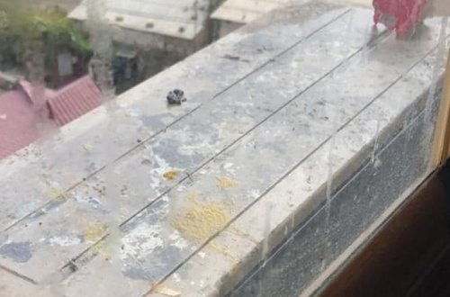 Когда твои соседи «свиньи», или пару слов о том, что движет людьми, выбрасывающими мусор из окон? - ФОТО