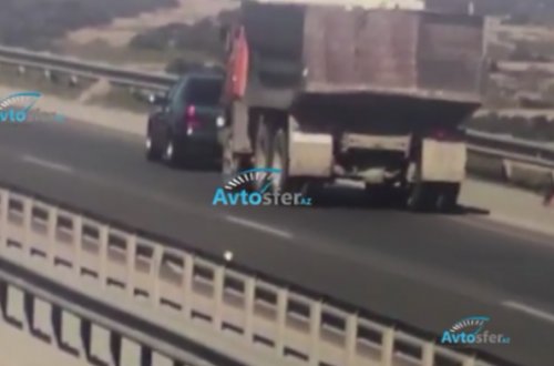 Yolun kənarında dovşan almaq üçün dayandı: 