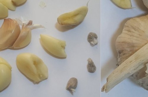 Передающий необычным способом наркотики мужчина был задержан