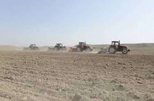 Azərbaycanda 622689 hektar sahədə payızlıq əkinlər üçün şum aparılıb