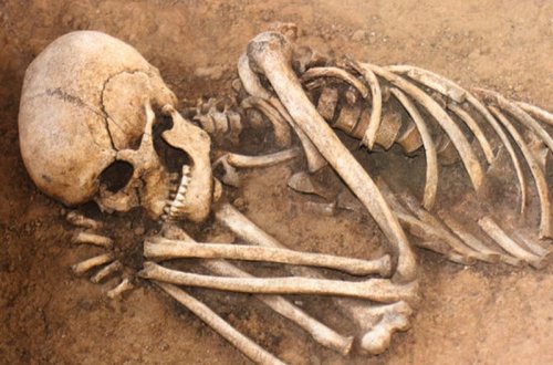 Alimlər ölünün parçalanmasını lentə aldılar: 17 ay hərəkət edirmiş