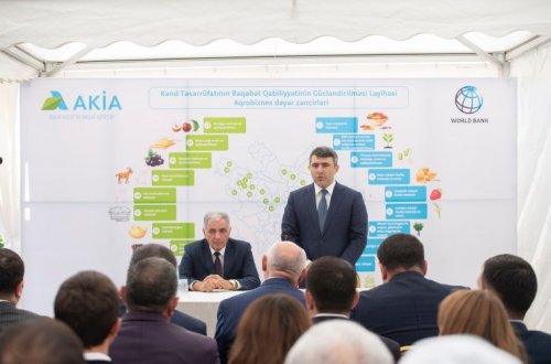 Kənd Təsərrüfatı Nazirliyinin dəstəklədiyi ilk aqrobiznes dəyər zənciri layihələri fəaliyyətə başlayıb