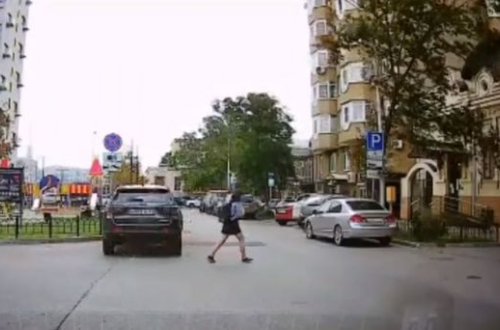 В Ростове дерево чуть не убило девушку - ВИДЕО