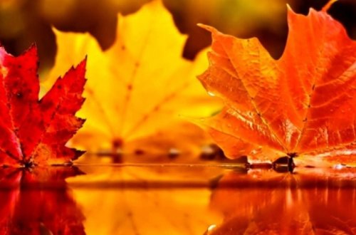 В Азербайджане осень вступает в свои права