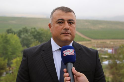 Çay plantasiyalarının hər hektarına görə fermerə ildə 700 manat subsidiya ödənilməsi nəzərdə tutulur